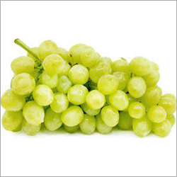Fresh Grapes