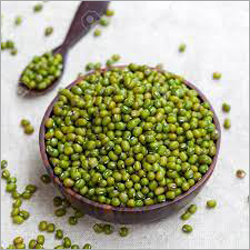 Green Moong - Seeds, Small Size, Round Shape | Bulk Packaging, Vibrant Green Color