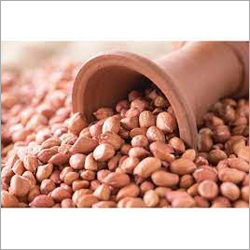 Ground nut