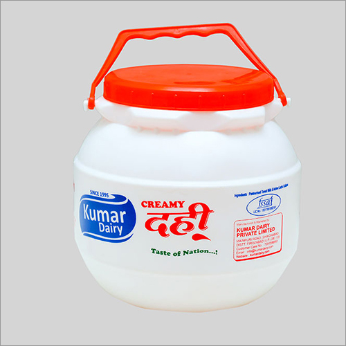 Creamy Dahi