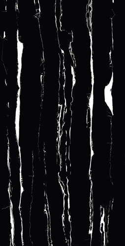 पर्यावरण के अनुकूल टोरिनो ब्लैक 600X1200Mm सुपर हाई ग्लॉस पोर्सिलेन टाइल्स