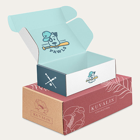 Cardboard Printed Packaging Box