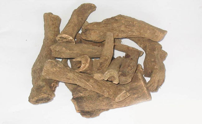 Herbal Medicine Costus Root