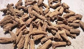 Herbal Medicine Costus Root