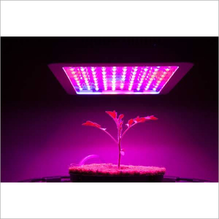 Grow Lights