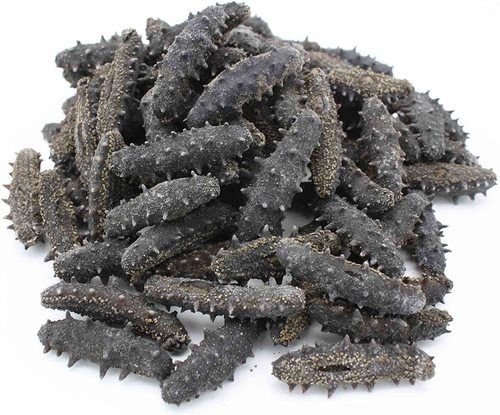 Nature Frozen Sea Cucumber