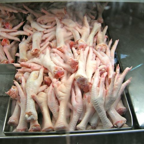 Halal Chicken Feet