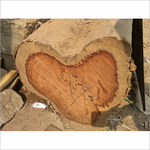 महुआ की लकड़ी