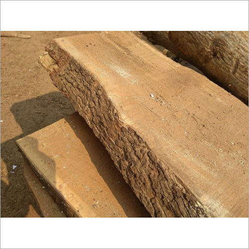 Neem Wood Size: 3 M