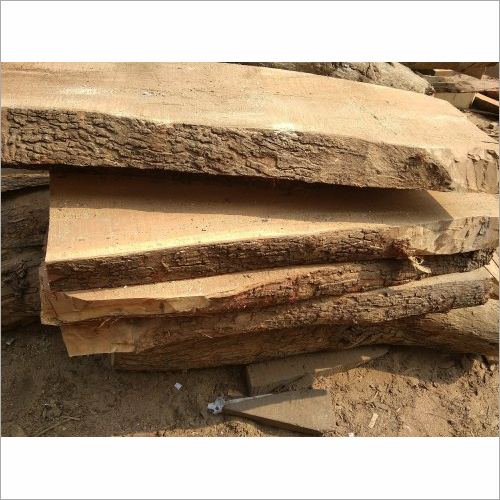 Neem Wood Size: 3 M