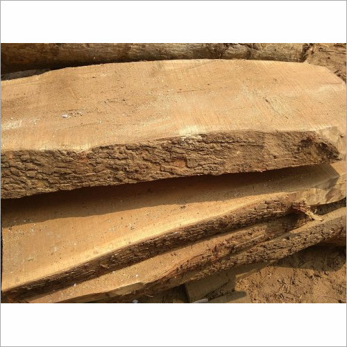 Neem Wood Size: 3 M