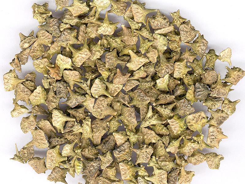 Herbal Medicine Tribulus Terrestris