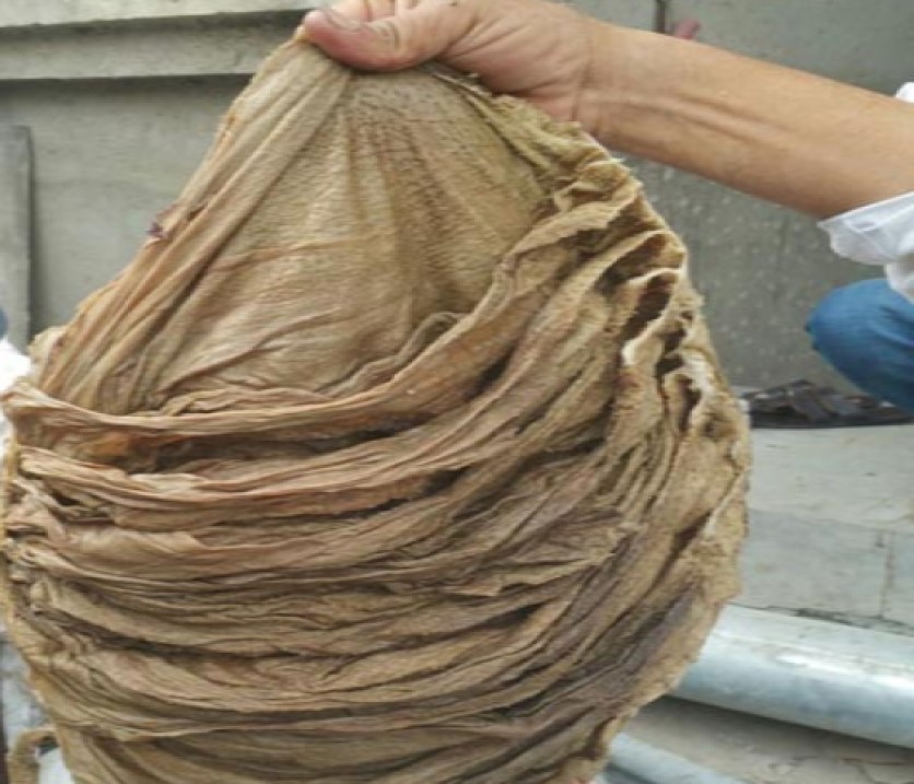 Buffalo Salted Omasum And Beef Salted Omasum For Sale