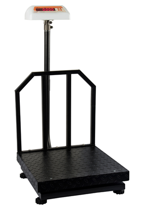 Platform Weighing Scale Accuracy: 10 Gm