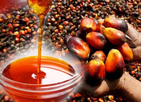 Palm Oil Application: Edible