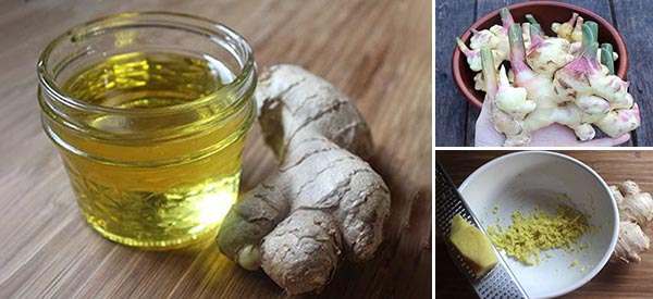 Ginger Oil Application: Edible And Medical