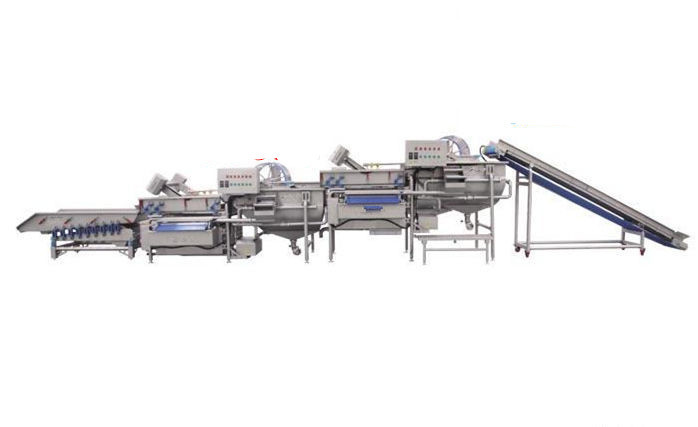 Ydvt-1000c Broccoli Bell Pepper Loofah Vortex Washing Machine Apple Guava Lotus Mist Washer Capacity: 1000-1500 Kg/hr