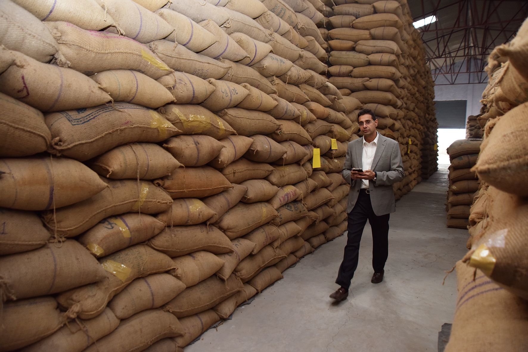 Open Air Yellow Corn