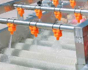 Hq-4-800 Blueberry Mullberry Cherry Olive Loquat Roller Brush Spray Washing Machine Capacity: 1000-1500 Kg/hr