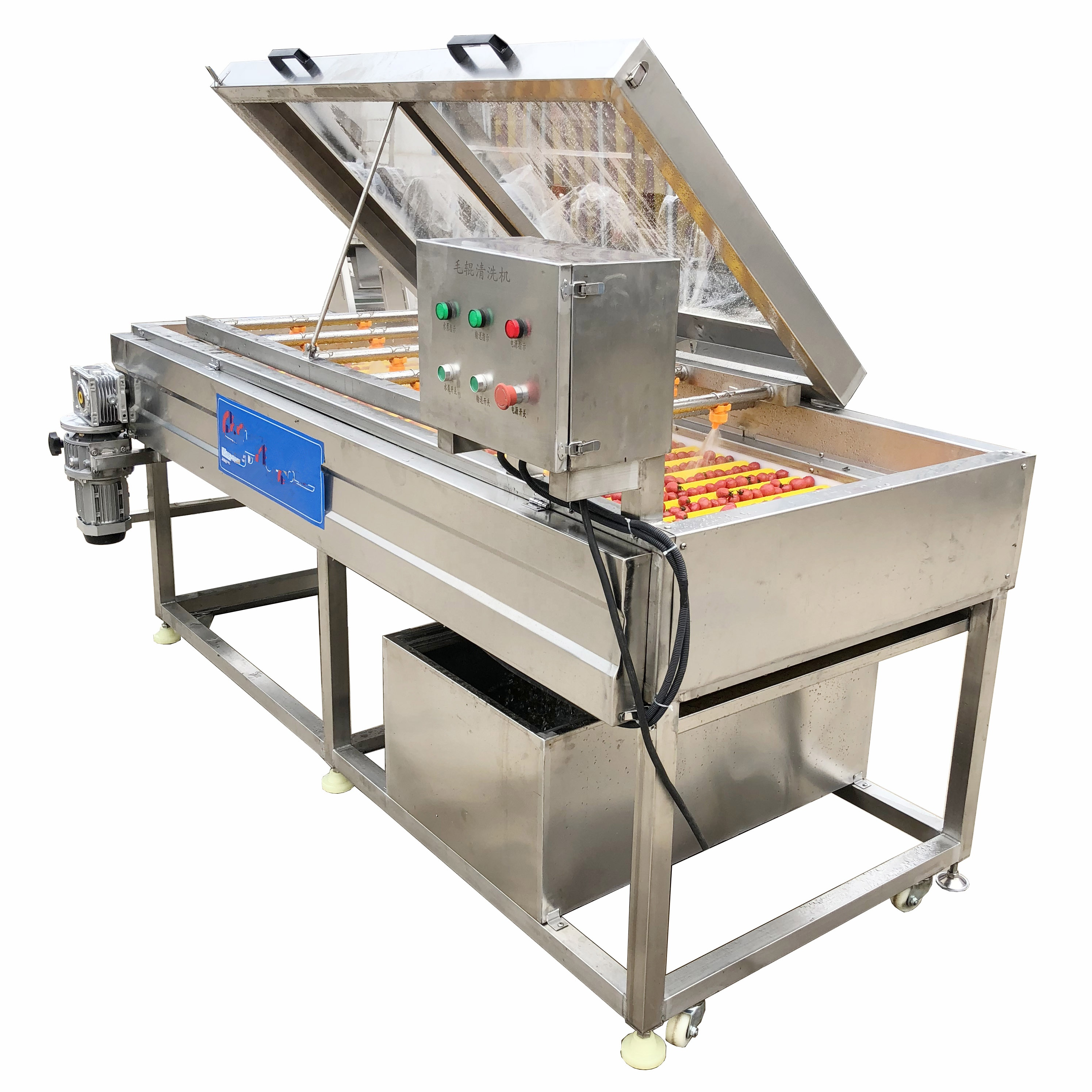 Hq-4-800 Blueberry Mullberry Cherry Olive Loquat Roller Brush Spray Washing Machine Capacity: 1000-1500 Kg/hr