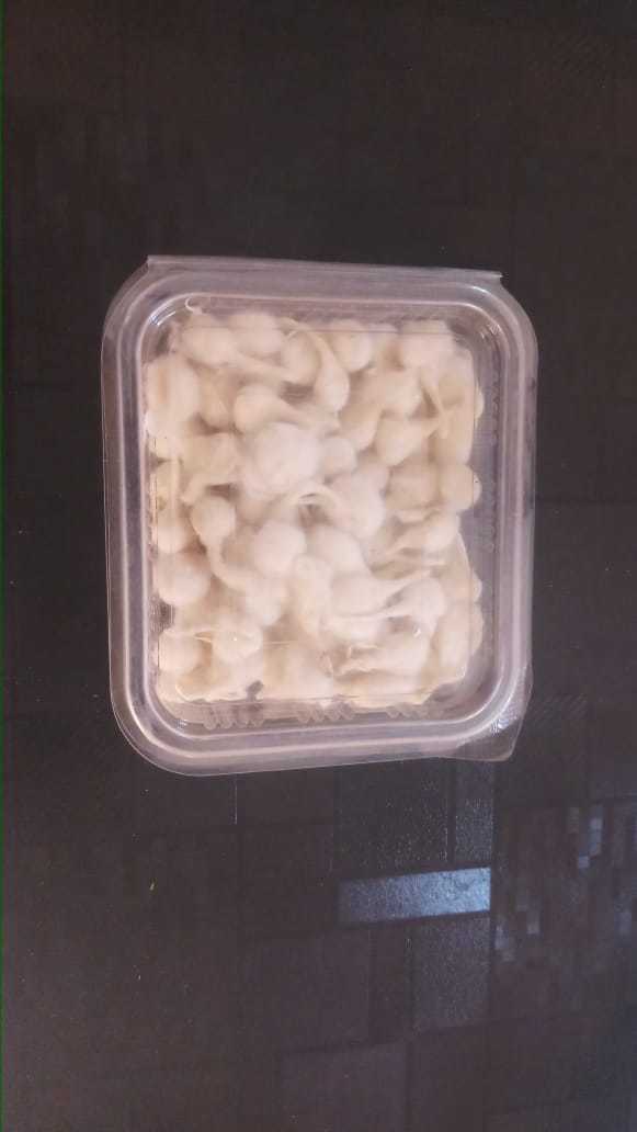 Masala And Scrubber Packing Blister
