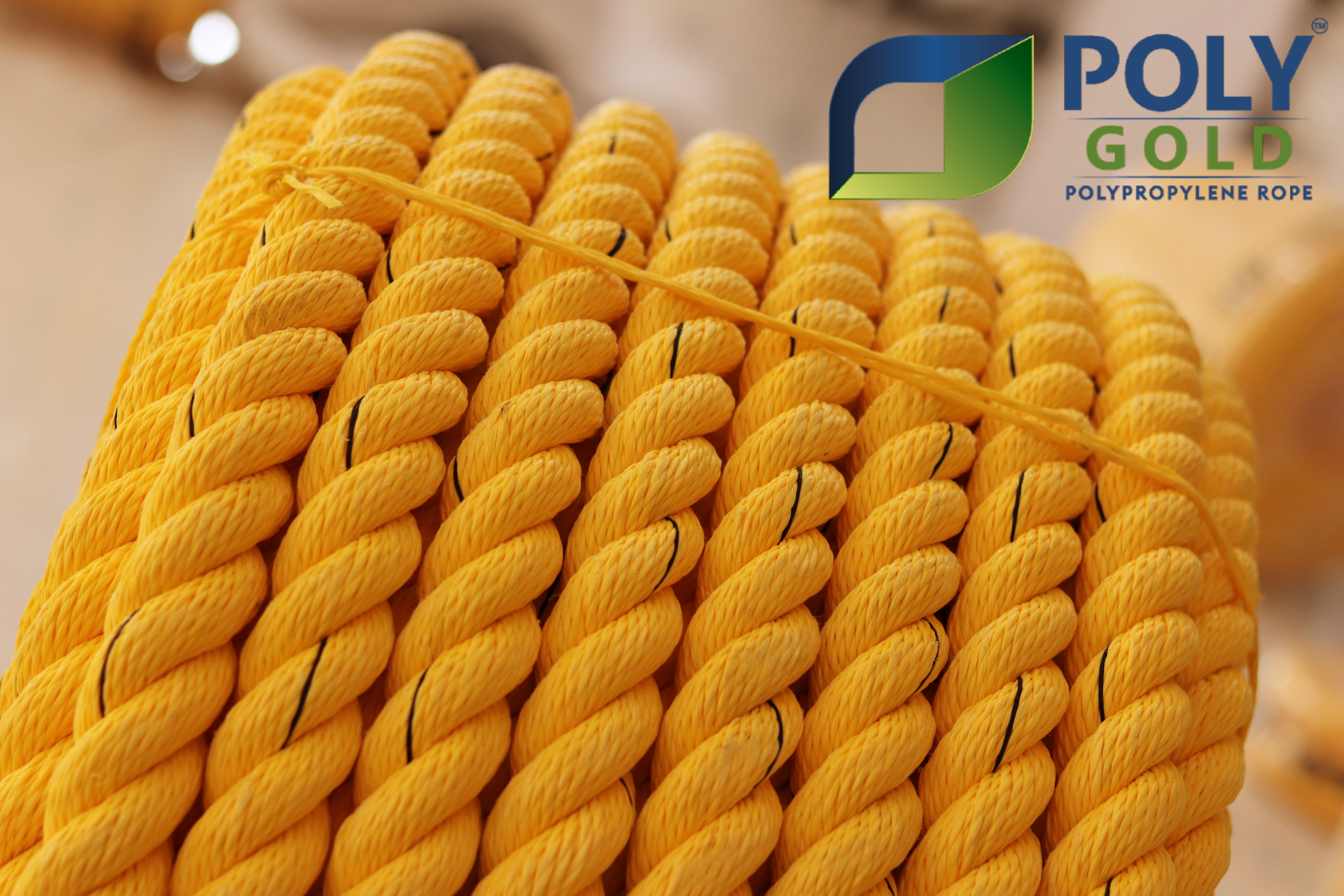 Polygold Pp Ropes - Material: Polypropylene(pp)
