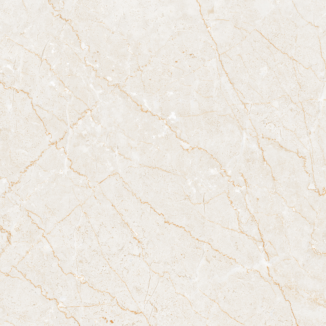 Ivory Bottochino Classico 800x800mm Glossy Porcelain Tiles