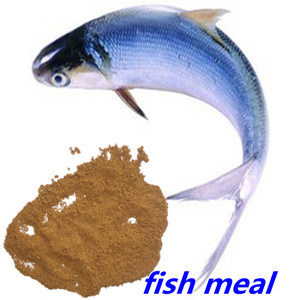Brown Animal Feed
