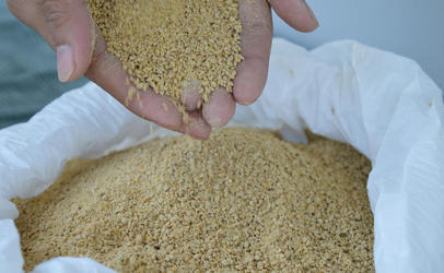 Brown Animal Feed