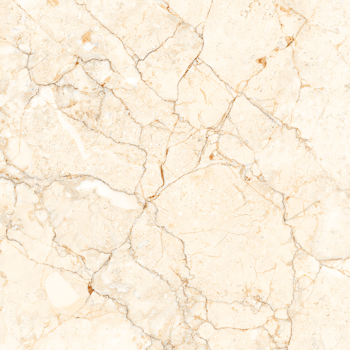 Square Cyberian Beige 800x800mm Glossy Porcelain Tiles