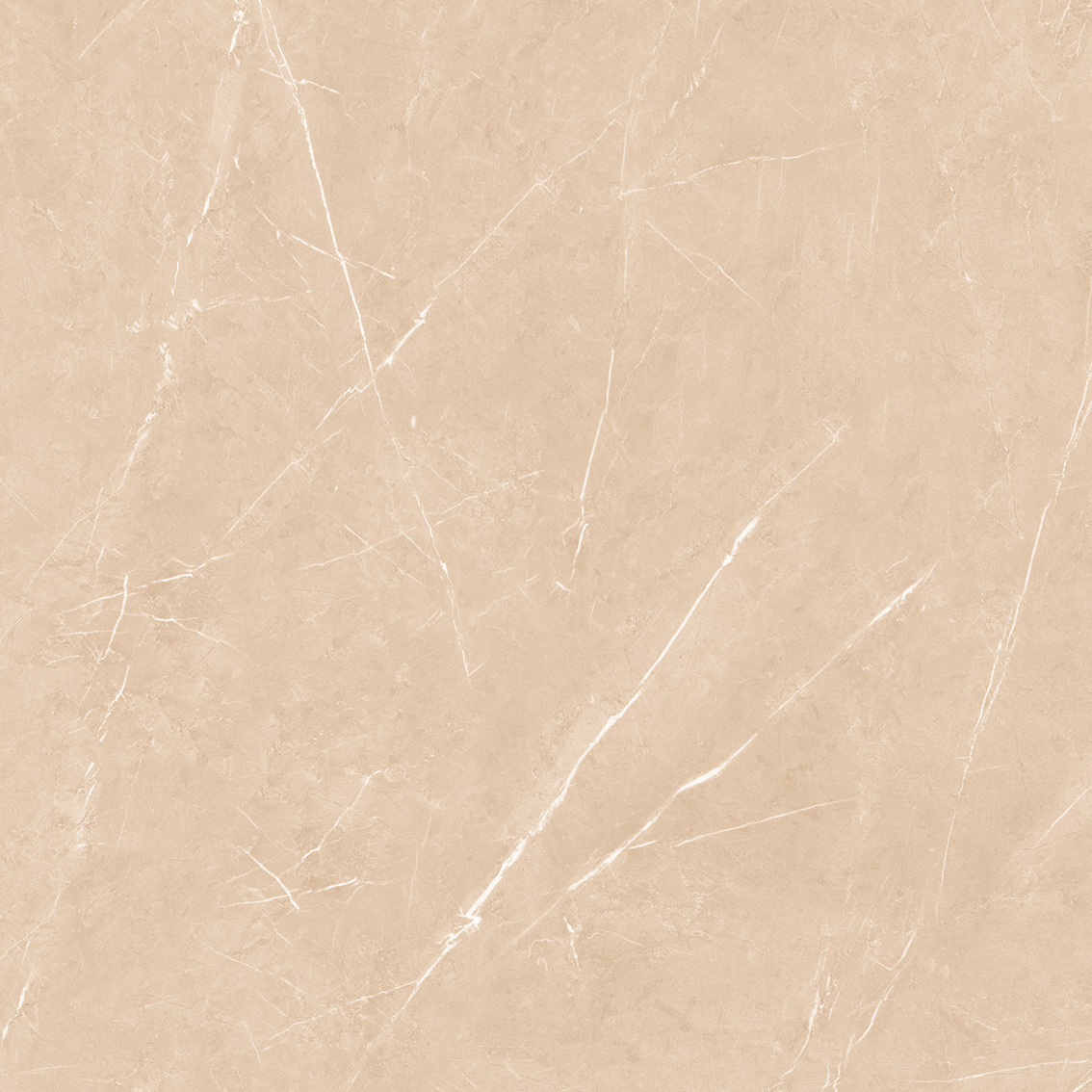 Square Emporio Armani Brown 800x800mm Glossy Porcelain Tiles