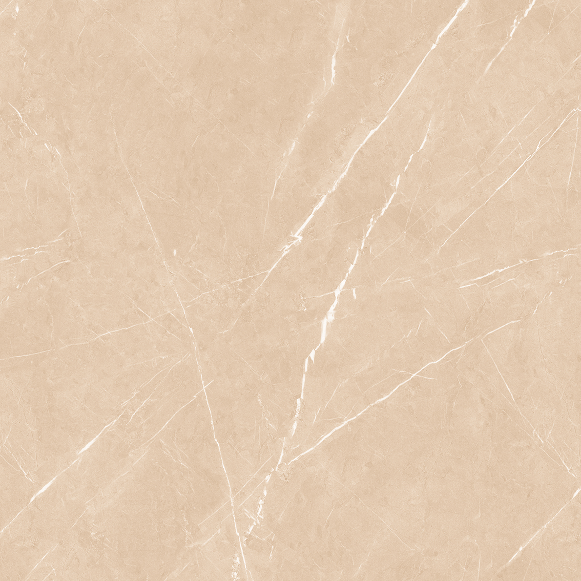 Square Emporio Armani Brown 800x800mm Glossy Porcelain Tiles