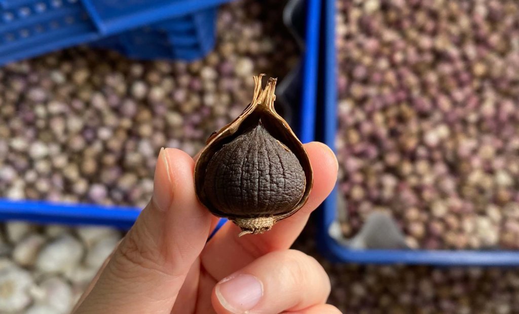 Black Garlic