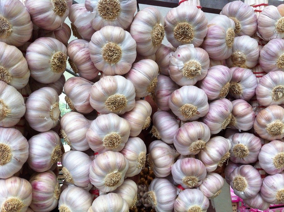 Black Garlic