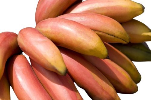 Open Air Red Banana