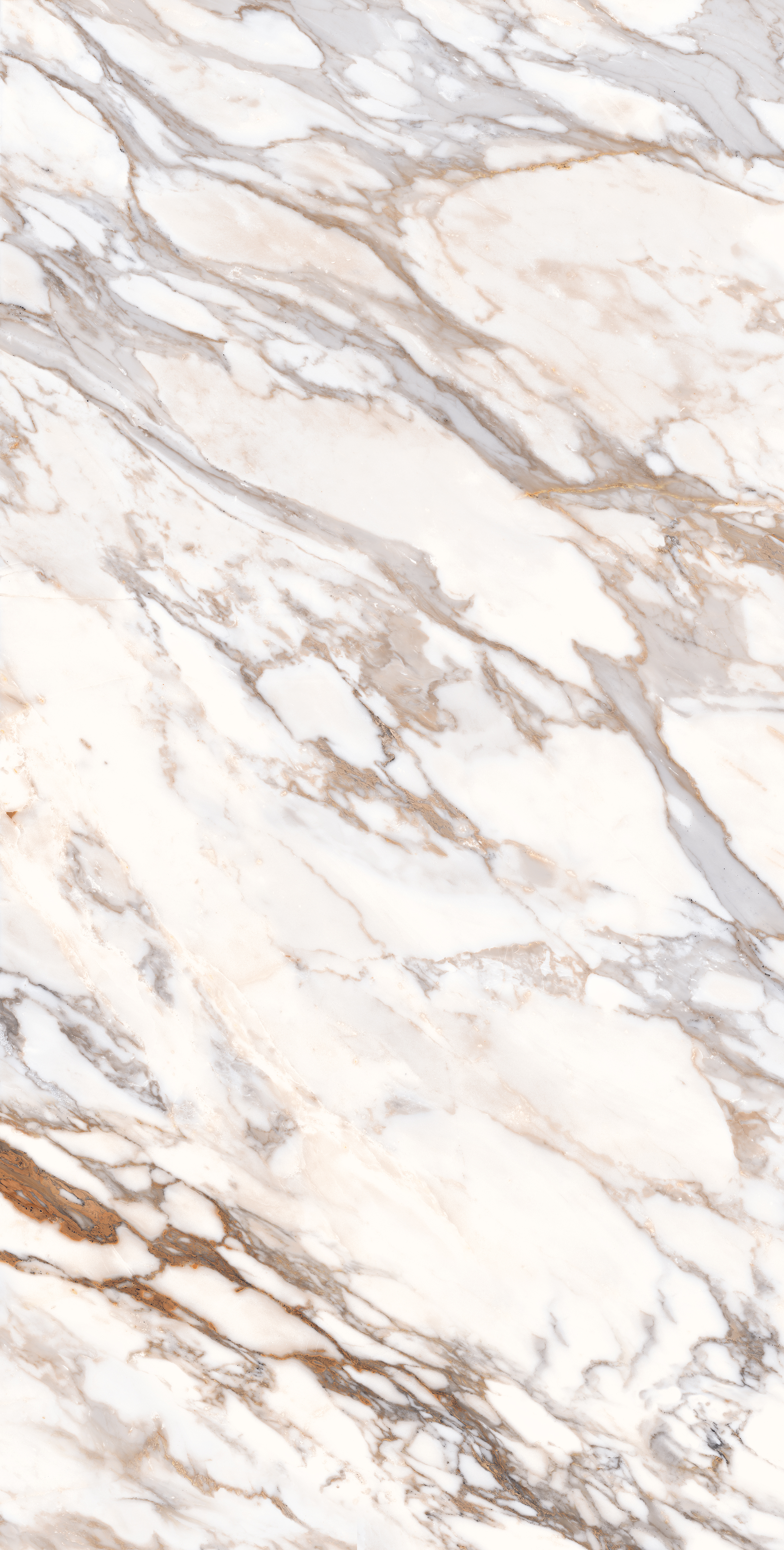 White Calcatta Gold 800x1600mm Glossy Porcelain Tiles