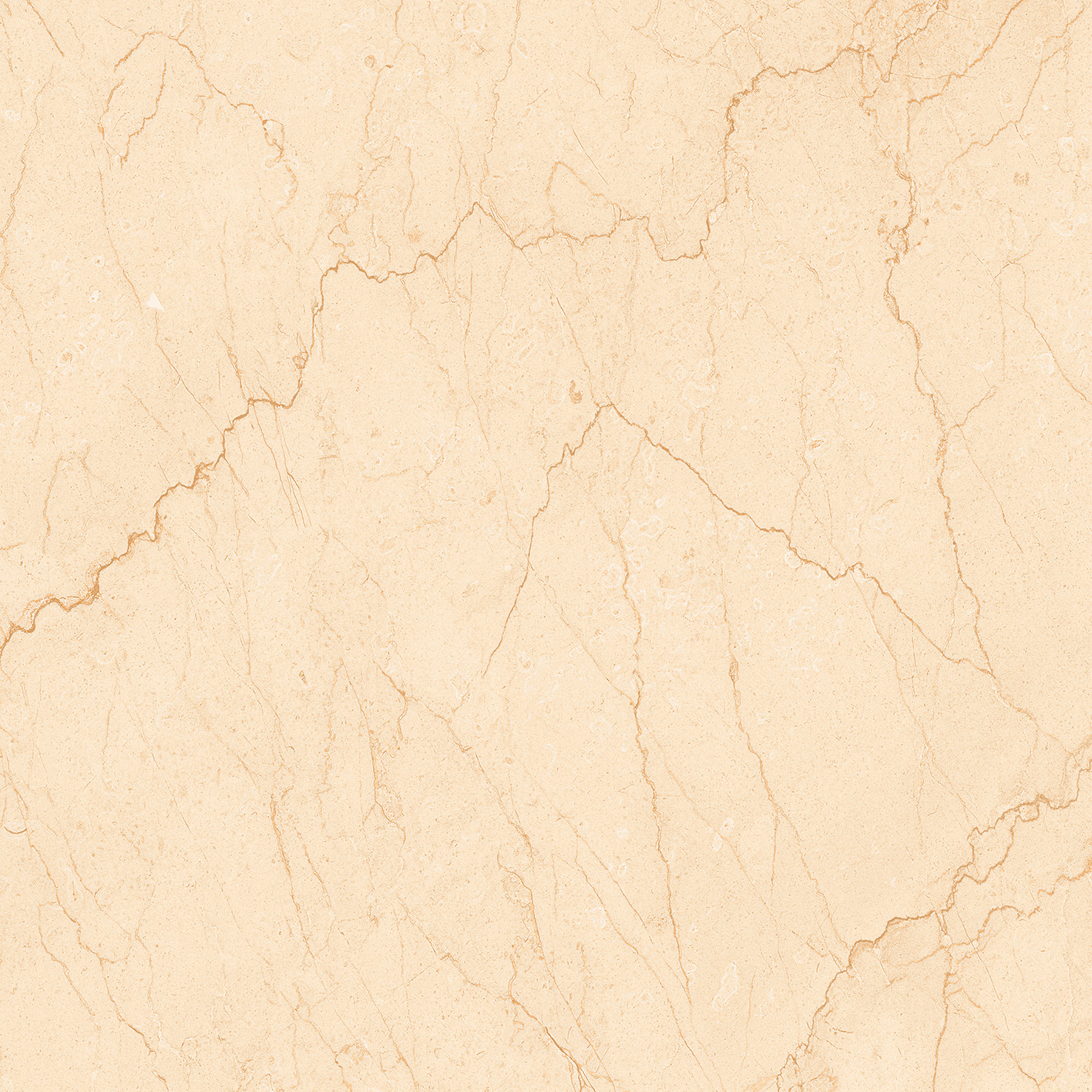 Beige Nice Bottochino 600x600mm Glossy Porcelain Tiles