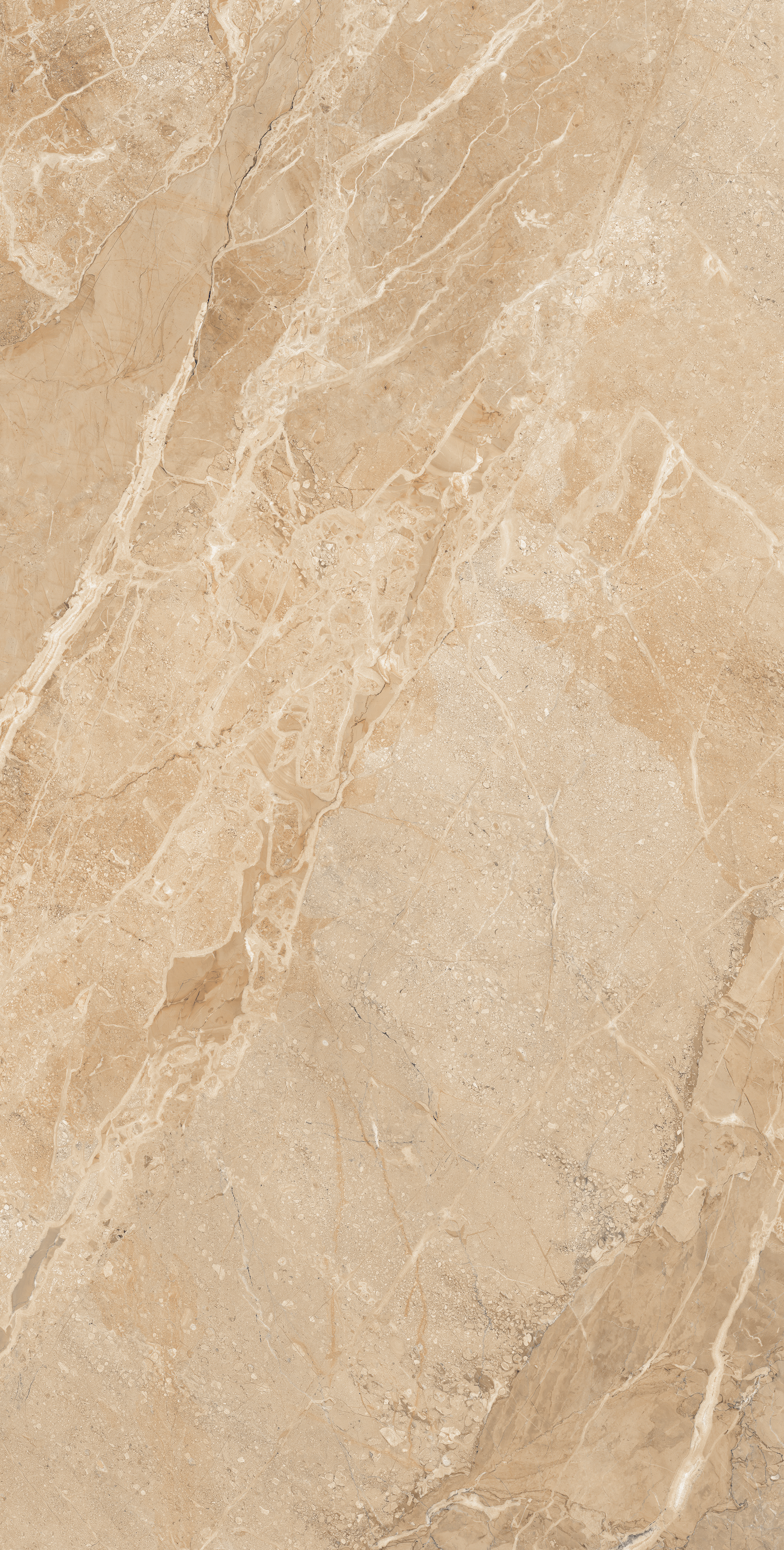 Beige Tasmania Gold 800x1600mm Glossy Porcelain Tile