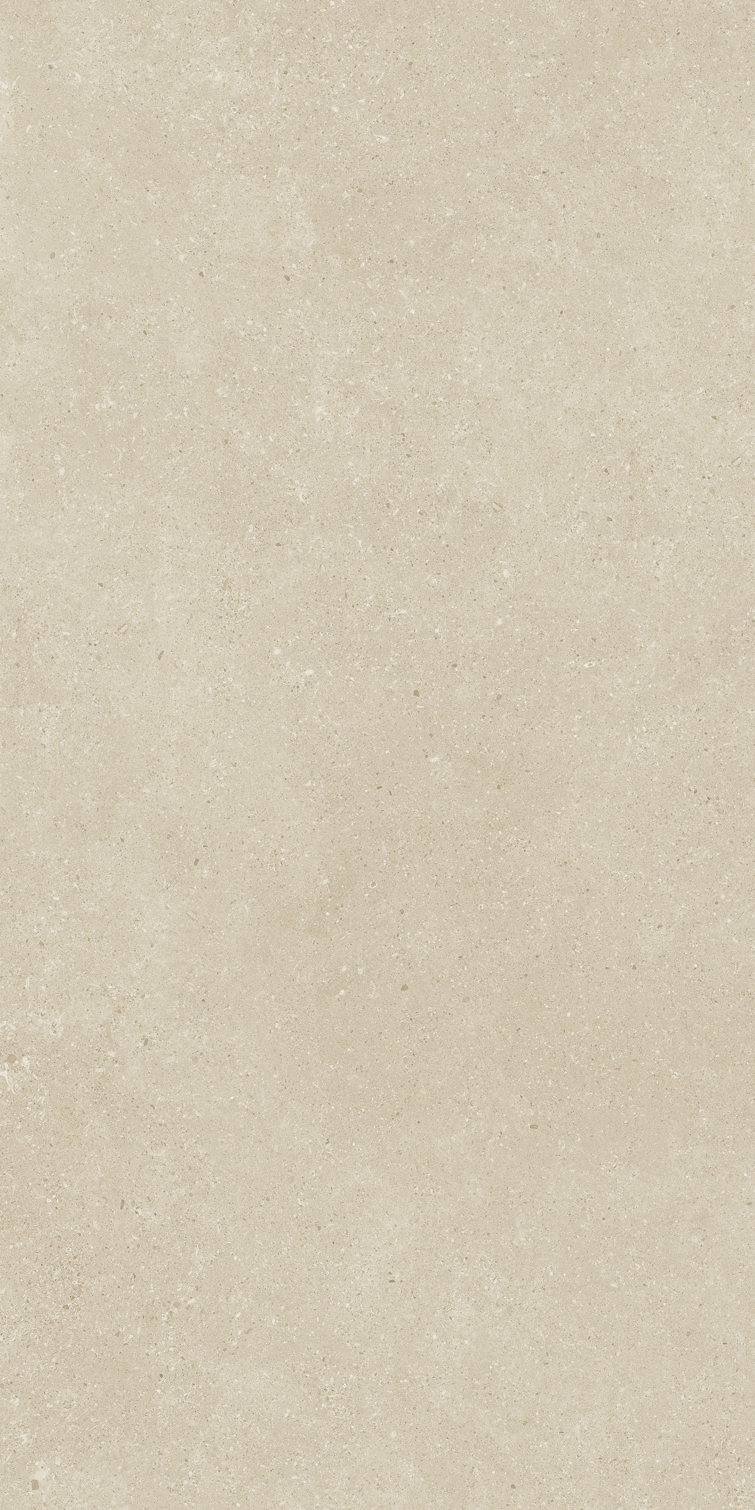 Brown Rock Avorio 800x1600mm Matt Porcelain Tile
