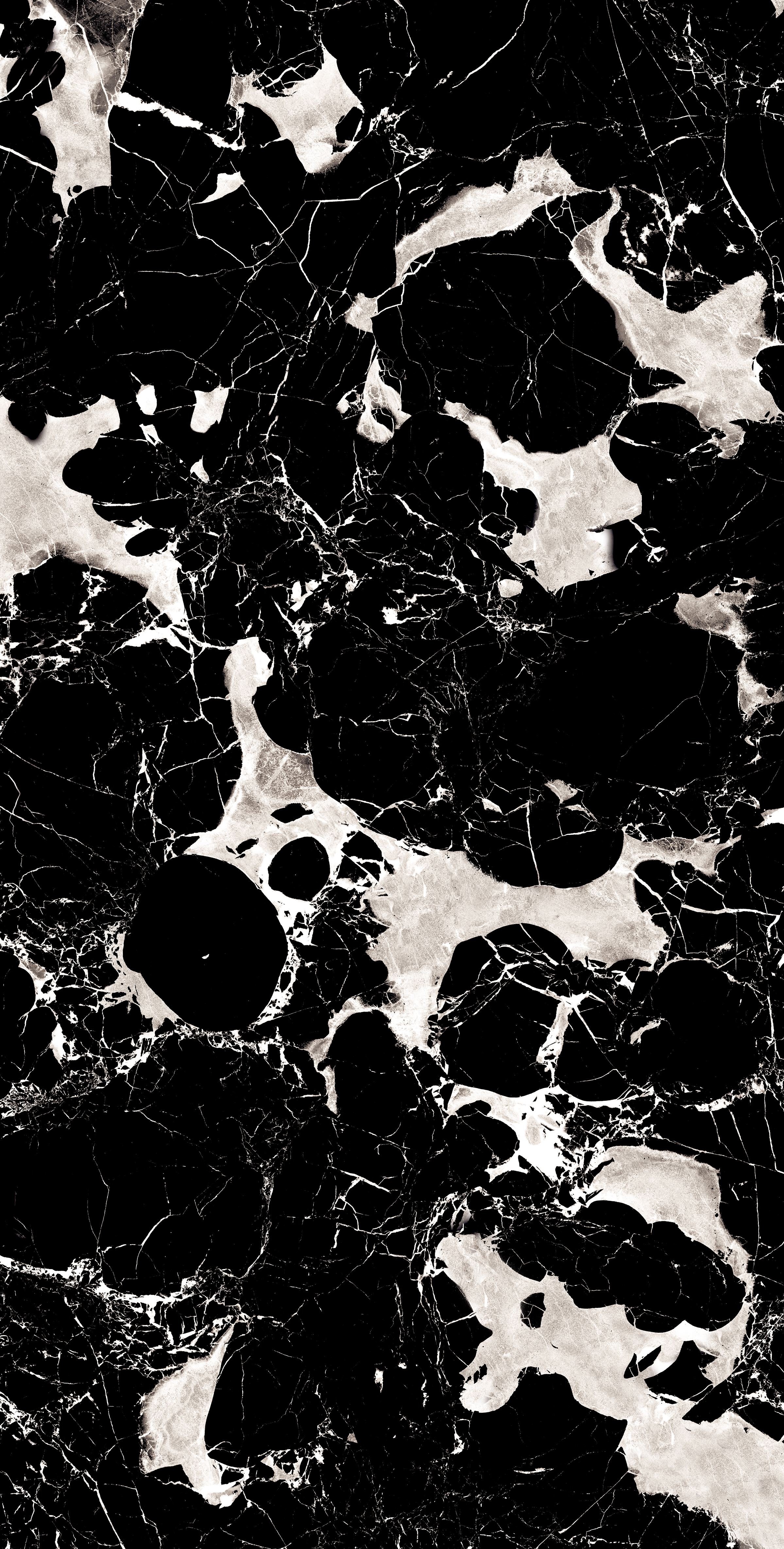 Black Portoro 800x1600mm High Glossy Porcelain Tile Moisture Content: Na
