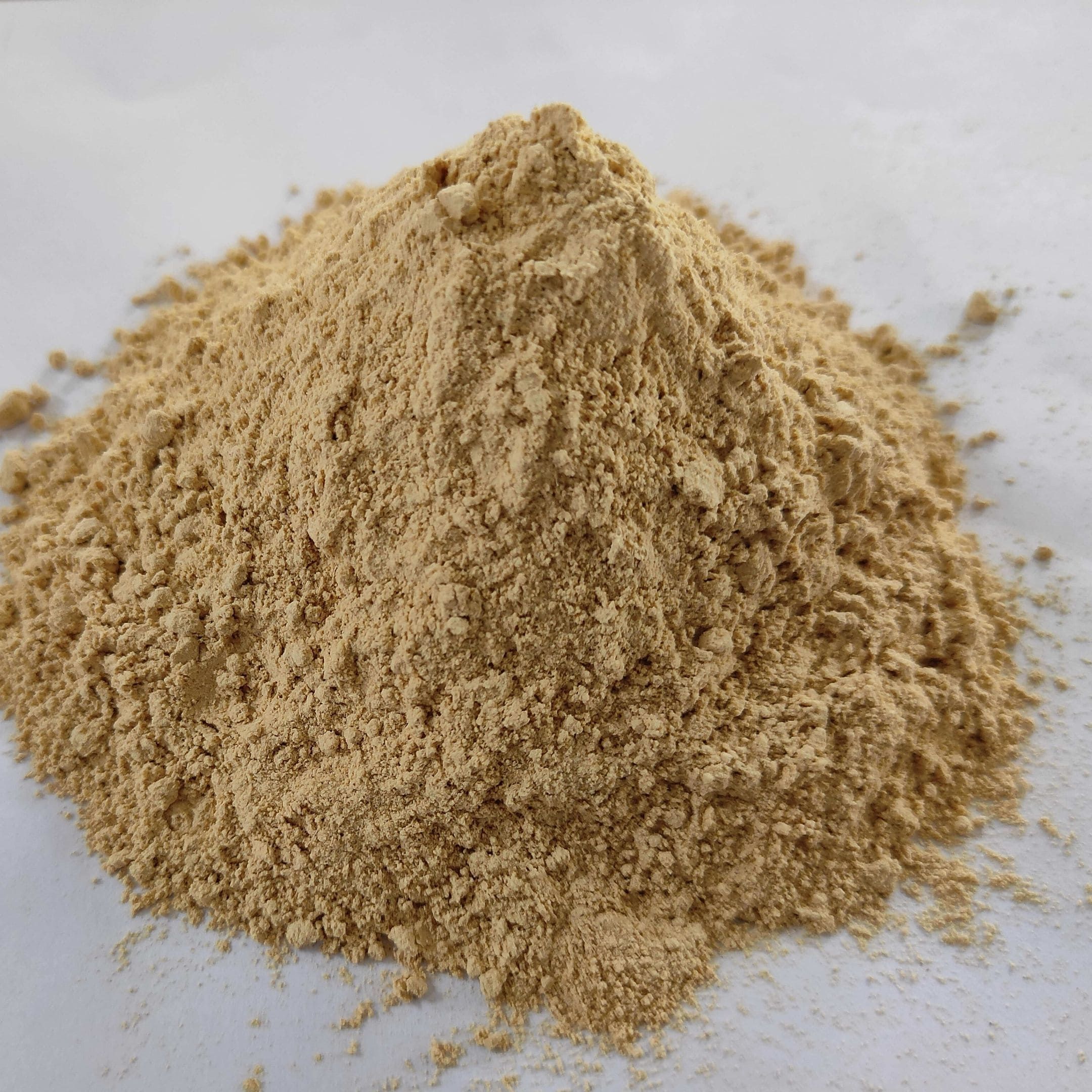 Dehydrated Garlic Powder - Organic, Natural Preservation | Premium Quality, 1-year Shelf Life, Raw Processing, Steam And Eto Sterilized Options