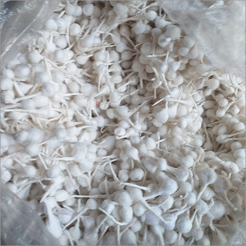 व्हाइट राउंड कॉटन विक