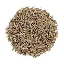 Cumin Seeds - Brown, Varied Sizes | Authentic Taste, Freshness, High Quality, Pure Cumin, Rich Aroma, Minimal Impurities, Low Moisture