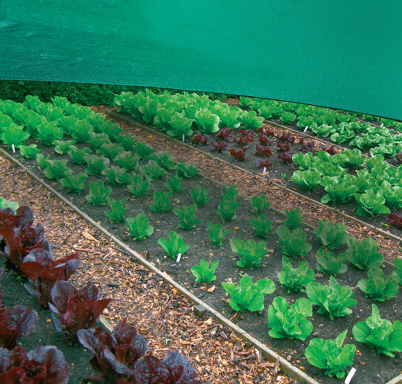 Mipatex Shade Net Green Net Greenhouse Net Agro Shade Net Garden Net Film Length: 50 Meter (M)