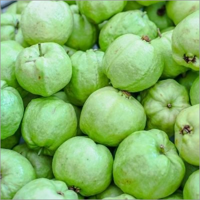 Fresh Guava - Organic, Medium Size, Round Shape, Green Color | Sweet Taste, Perfect For Juicing And Cooking