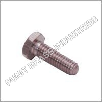 बोल्ट्स