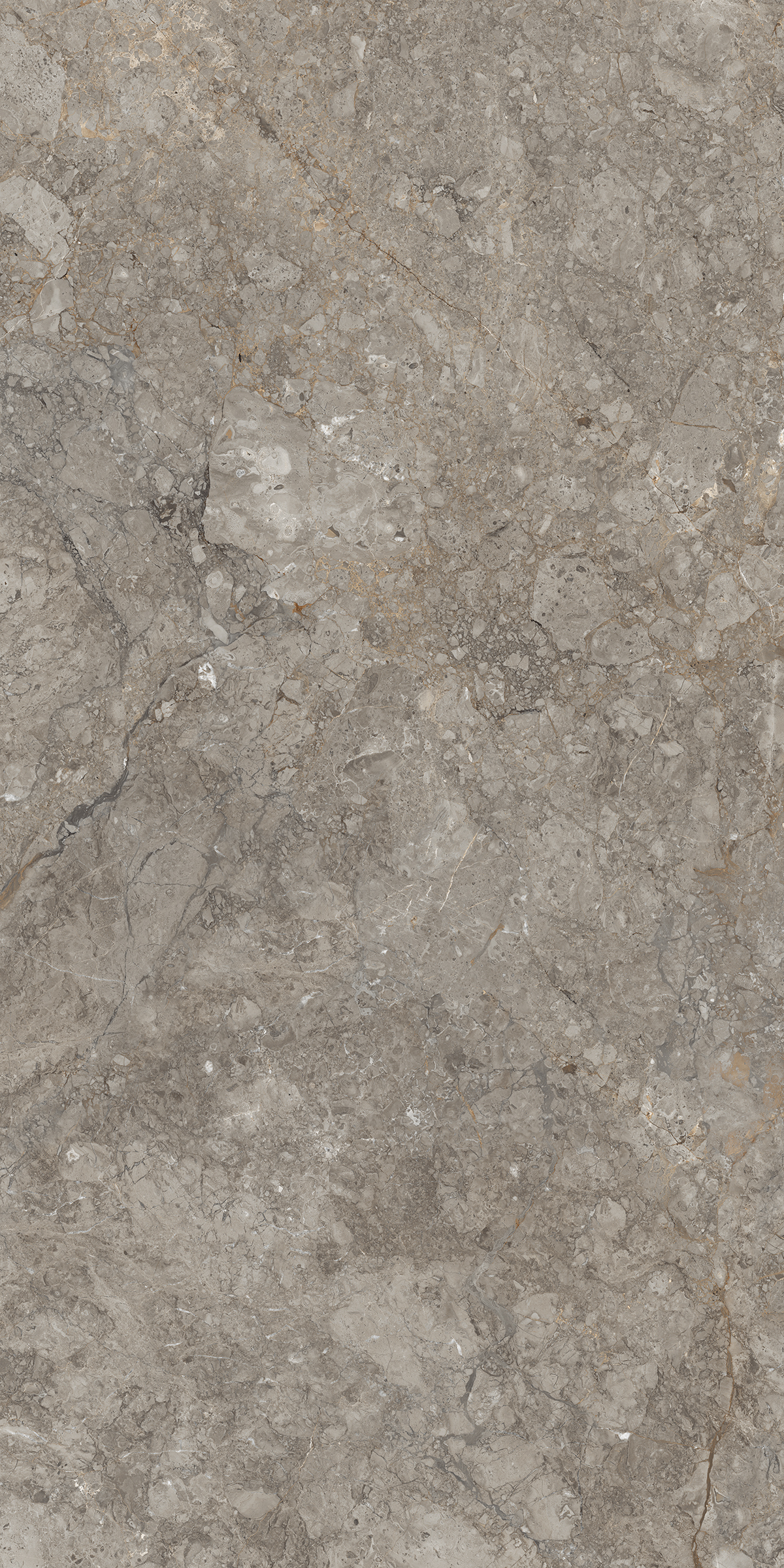Antresit Grey 1200x2400mm Slab Porcelain Tiles Moisture Content: Na