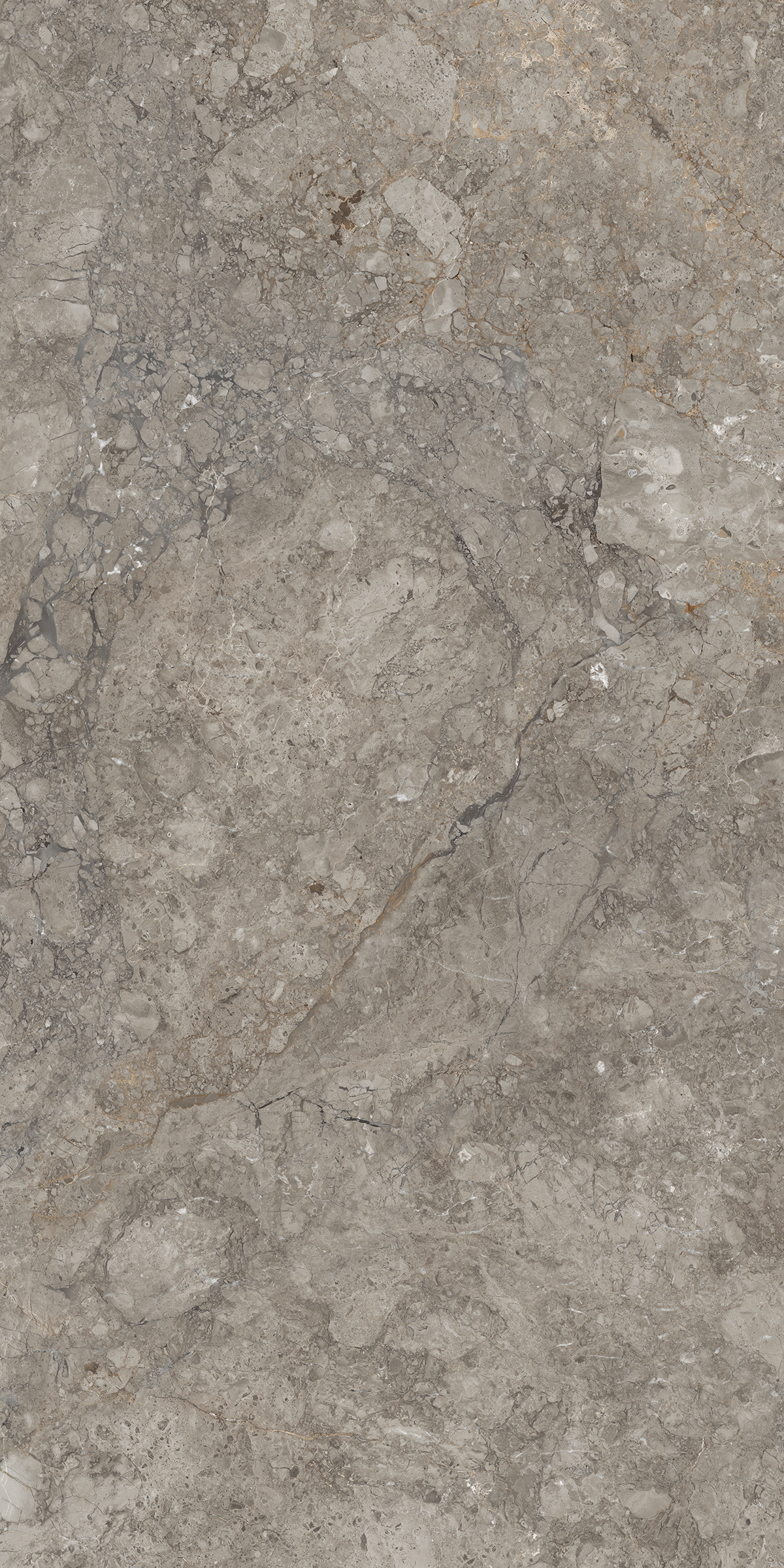 Antresit Grey 1200x2400mm Slab Porcelain Tiles Moisture Content: Na