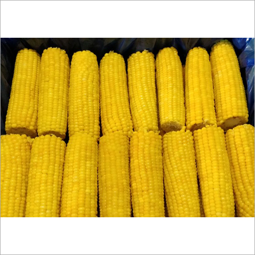Froze IQF Corn On Cob