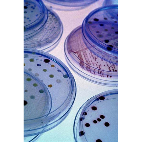 बैक्टीरियोलॉजिकल पेप्टोन